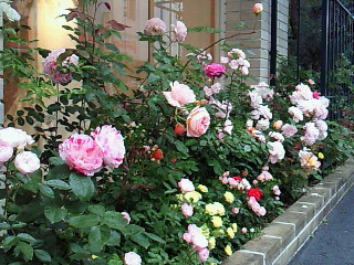201105091643000.jpg